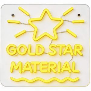 Class Rules! 12" x 11" Neon Star Sign by B2C™