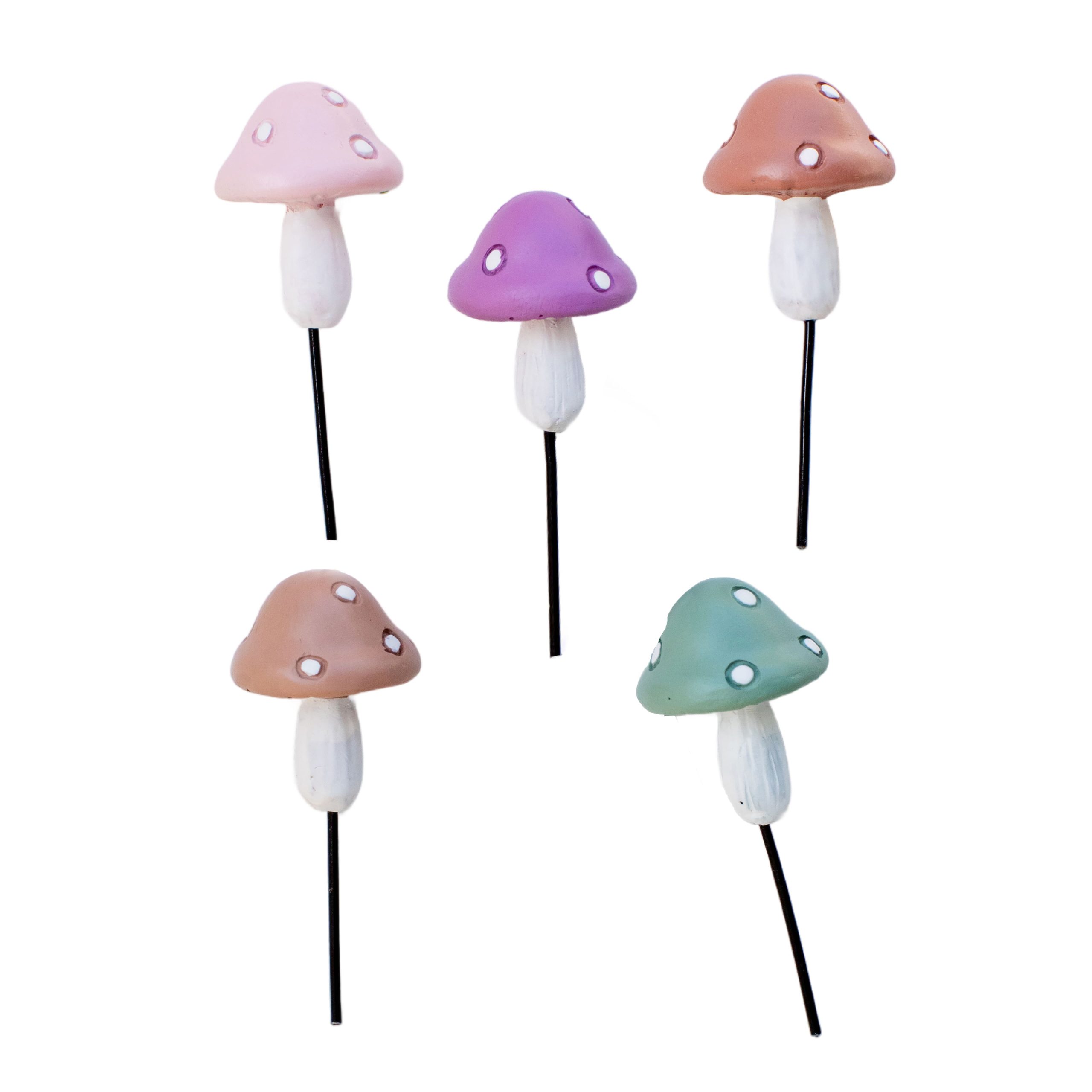 Mini Round Mushrooms by Ashland®