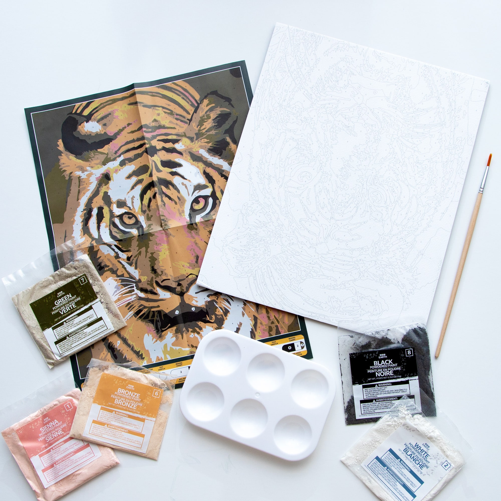 BBC Earth Canvas Board Tiger Paint by Number - Image 2