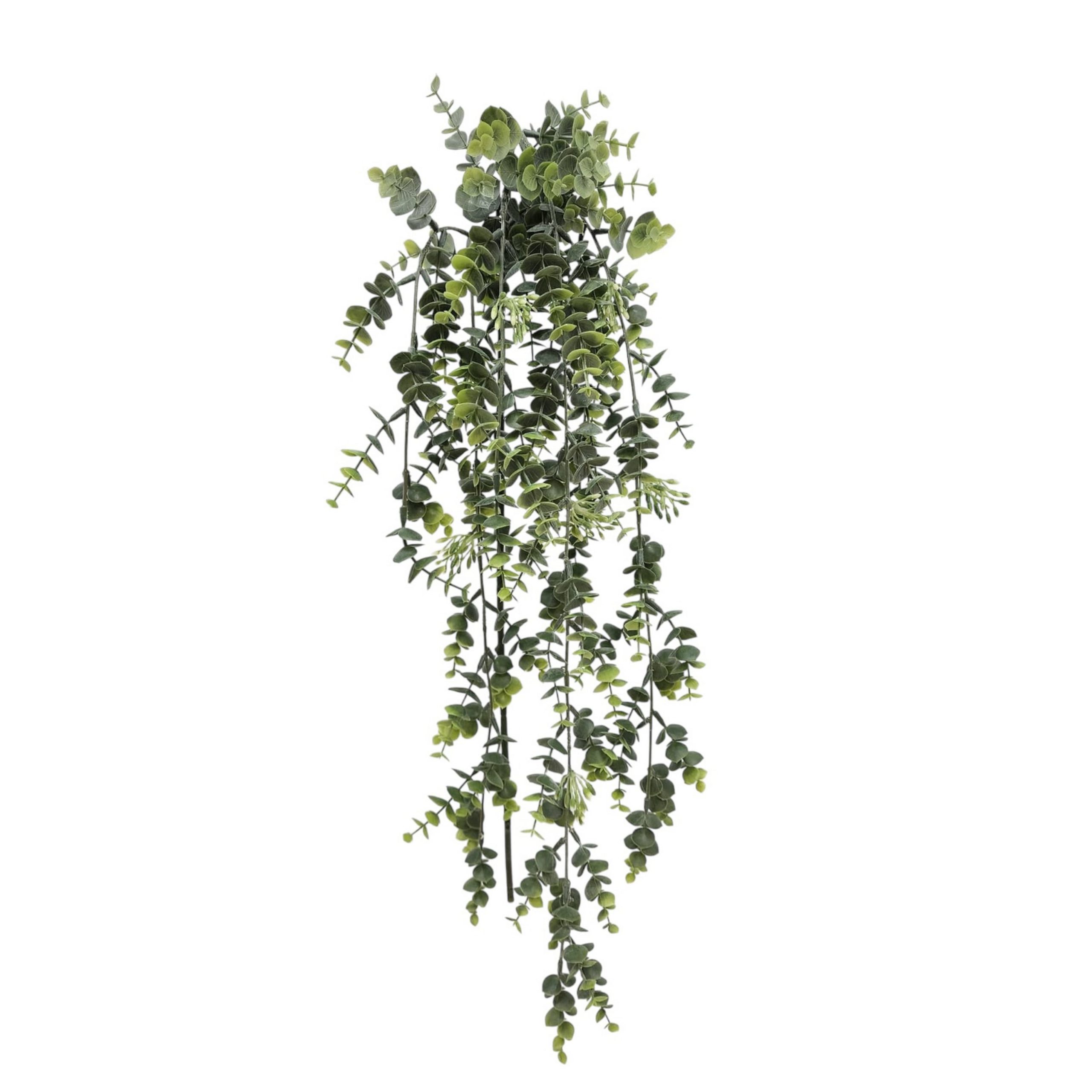 4ft. Green Hanging Eucalyptus Stem by Ashland®