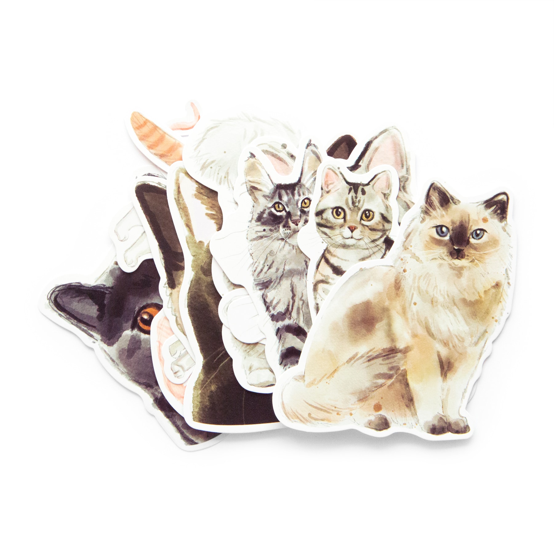 Cats Die Cut Stickers by Recollections™ - Image 3