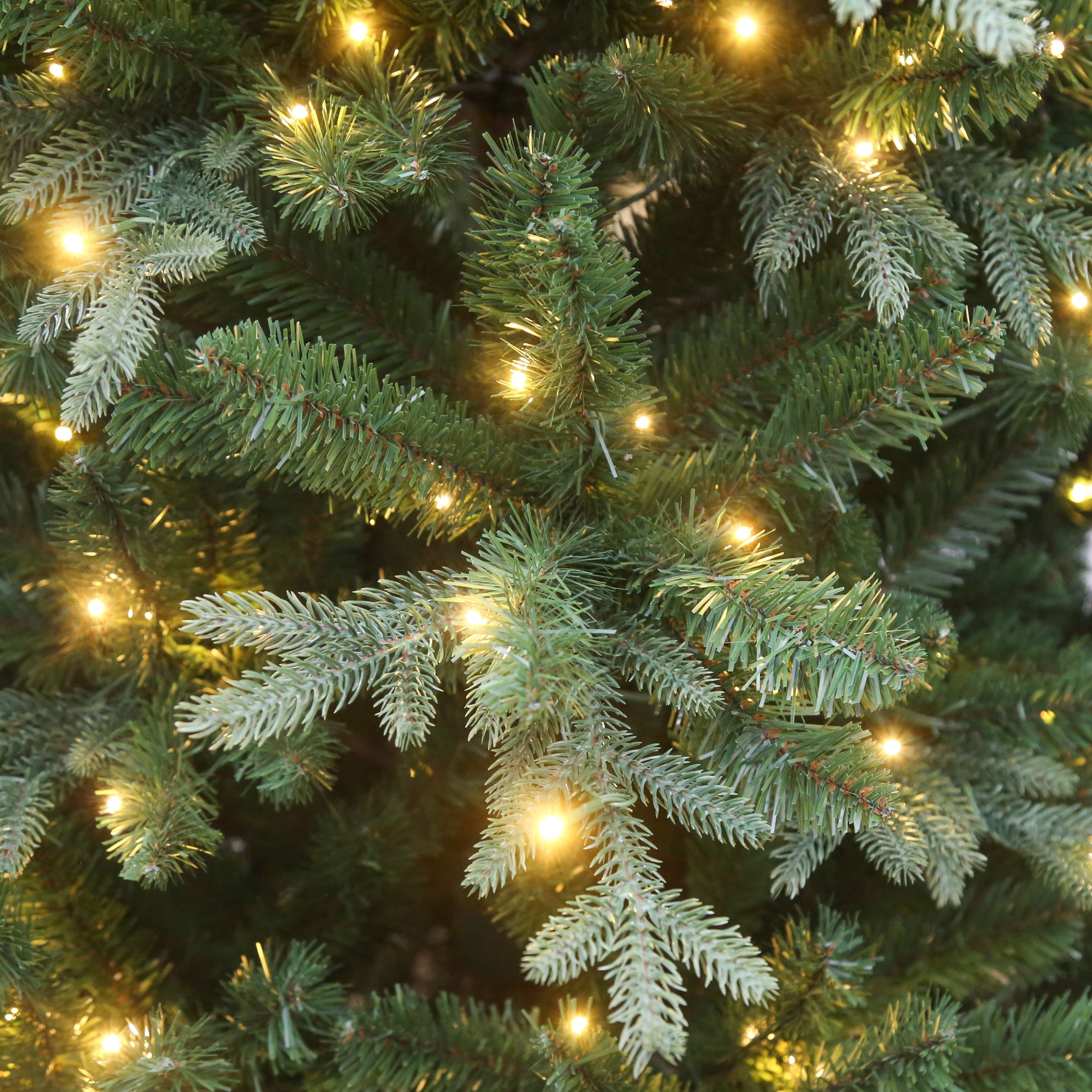 7.5ft. Pre-Lit Windsor Spruce Artificial Christmas Tree, Color Changing LED Lights by Ashland® - Image 3