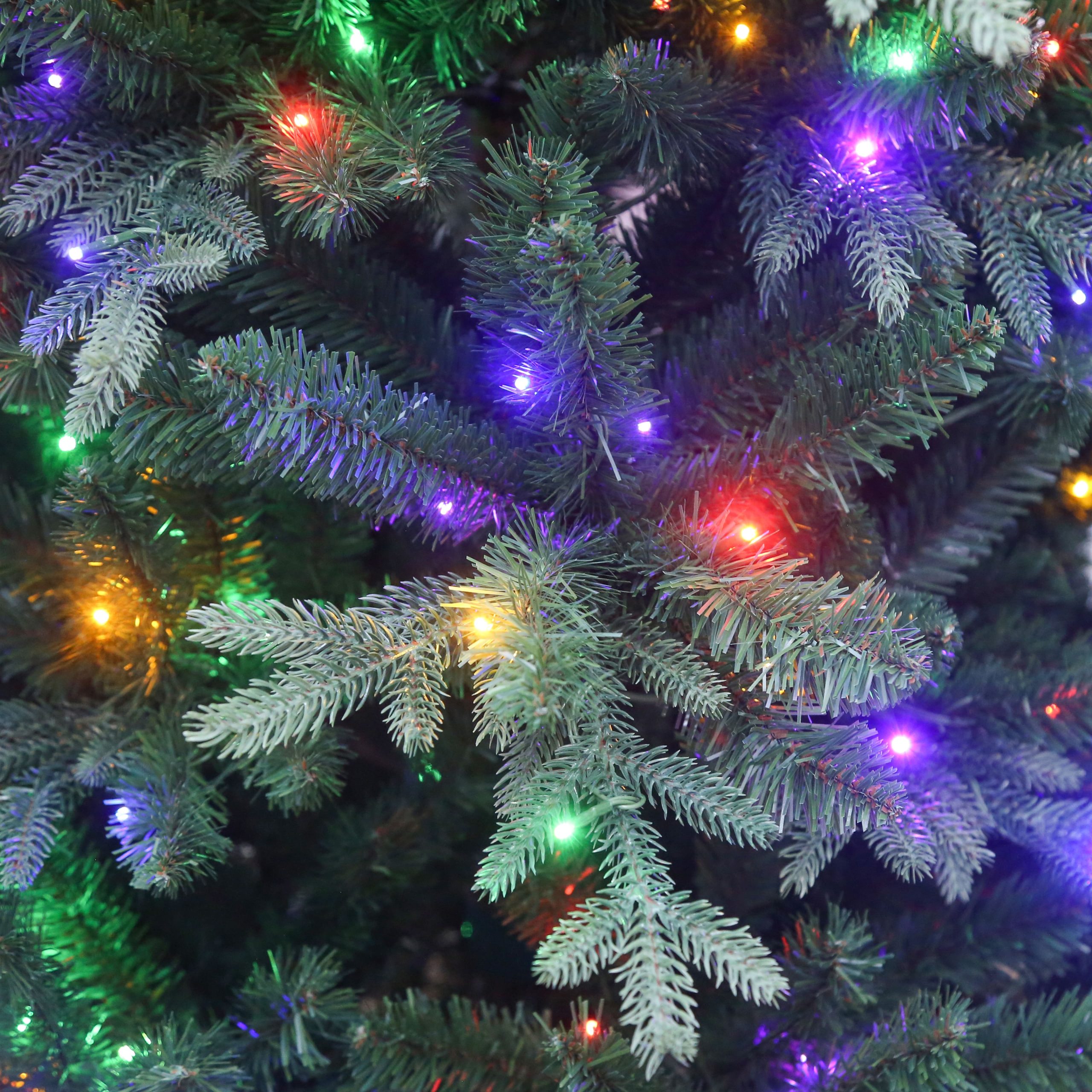 7.5ft. Pre-Lit Windsor Spruce Artificial Christmas Tree, Color Changing LED Lights by Ashland® - Image 2