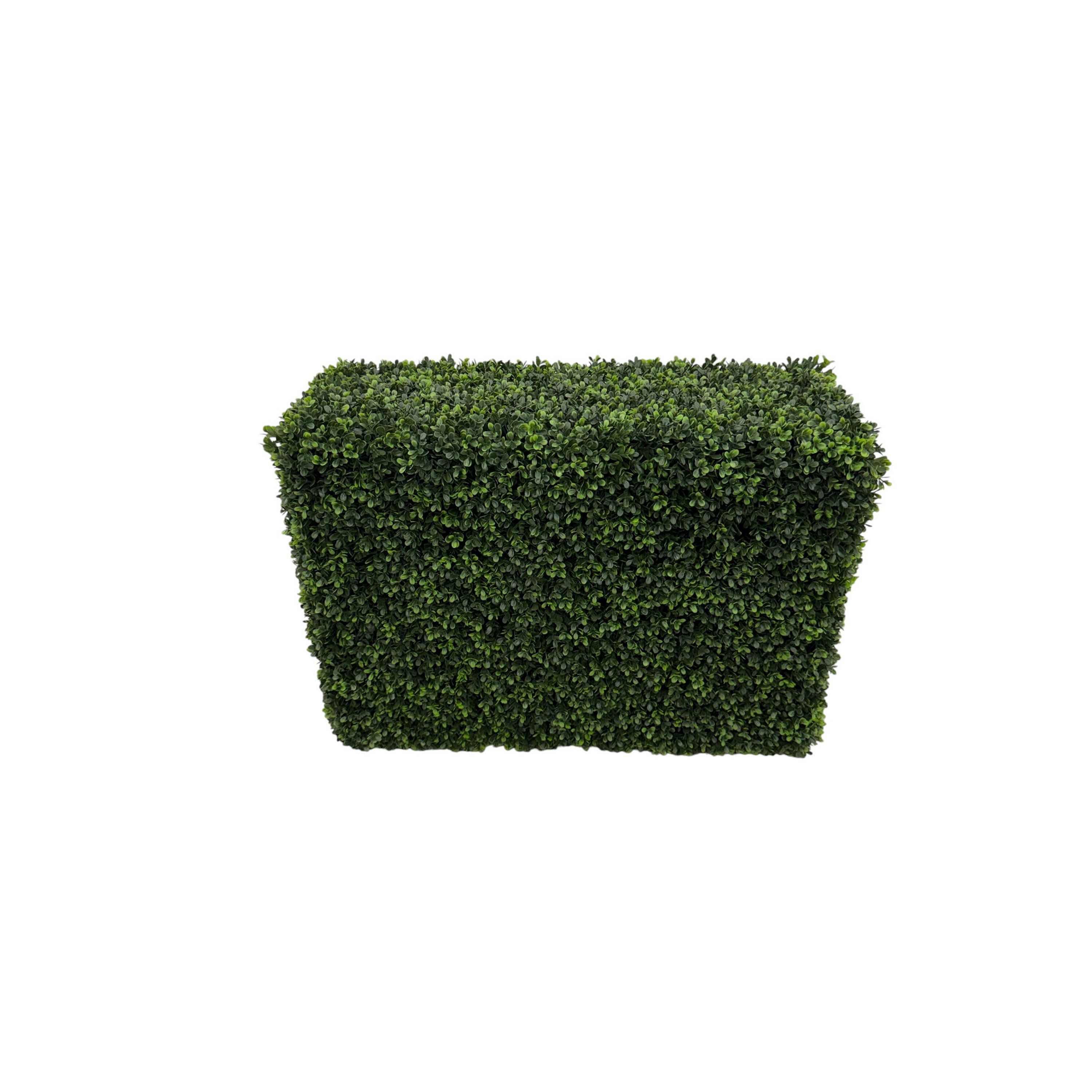 30" x 21" UV Premade Boxwood Hedge by Ashland®