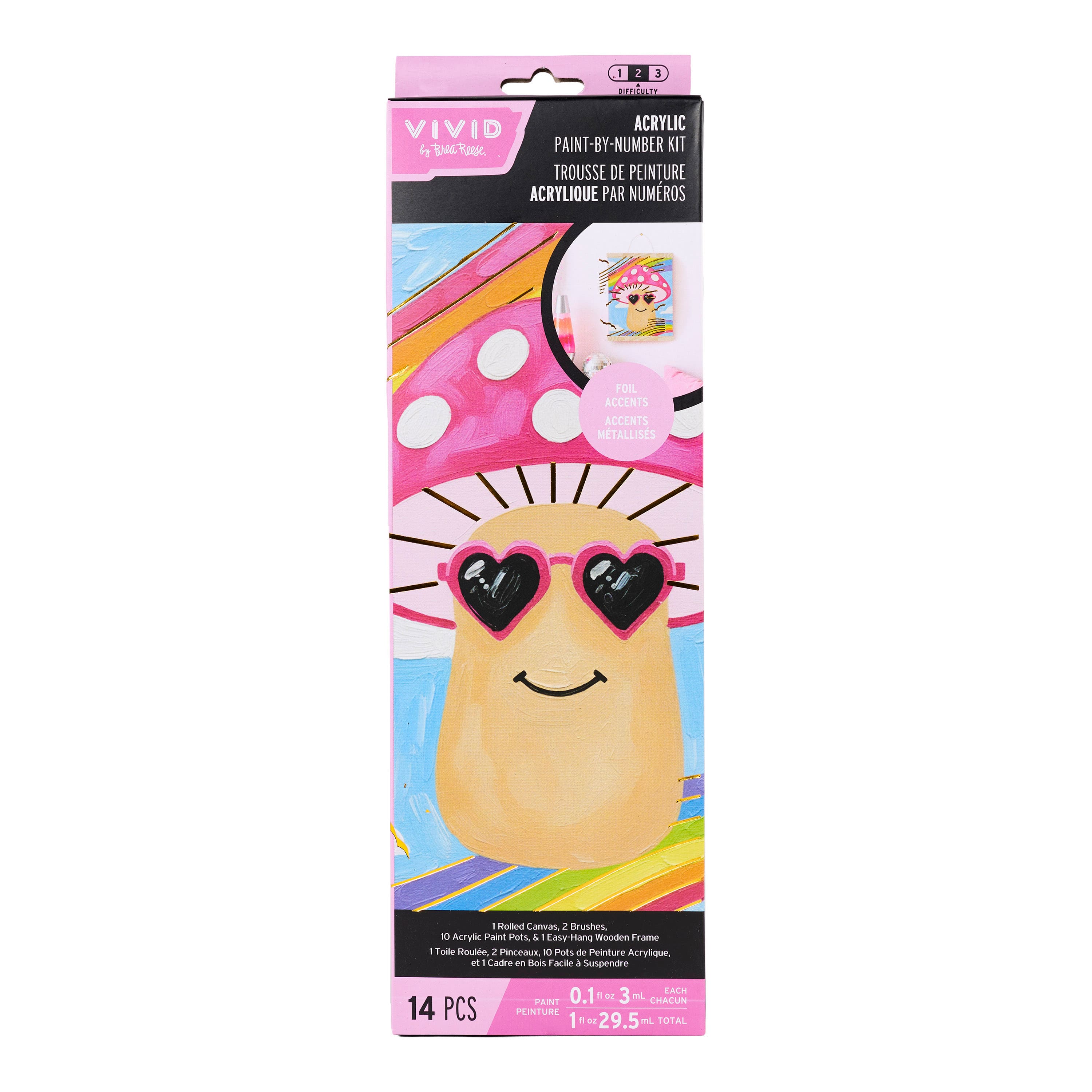 Vivid by Brea Reese® Happy Mushroom Canvas Acrylic Paint-by-Number Kit