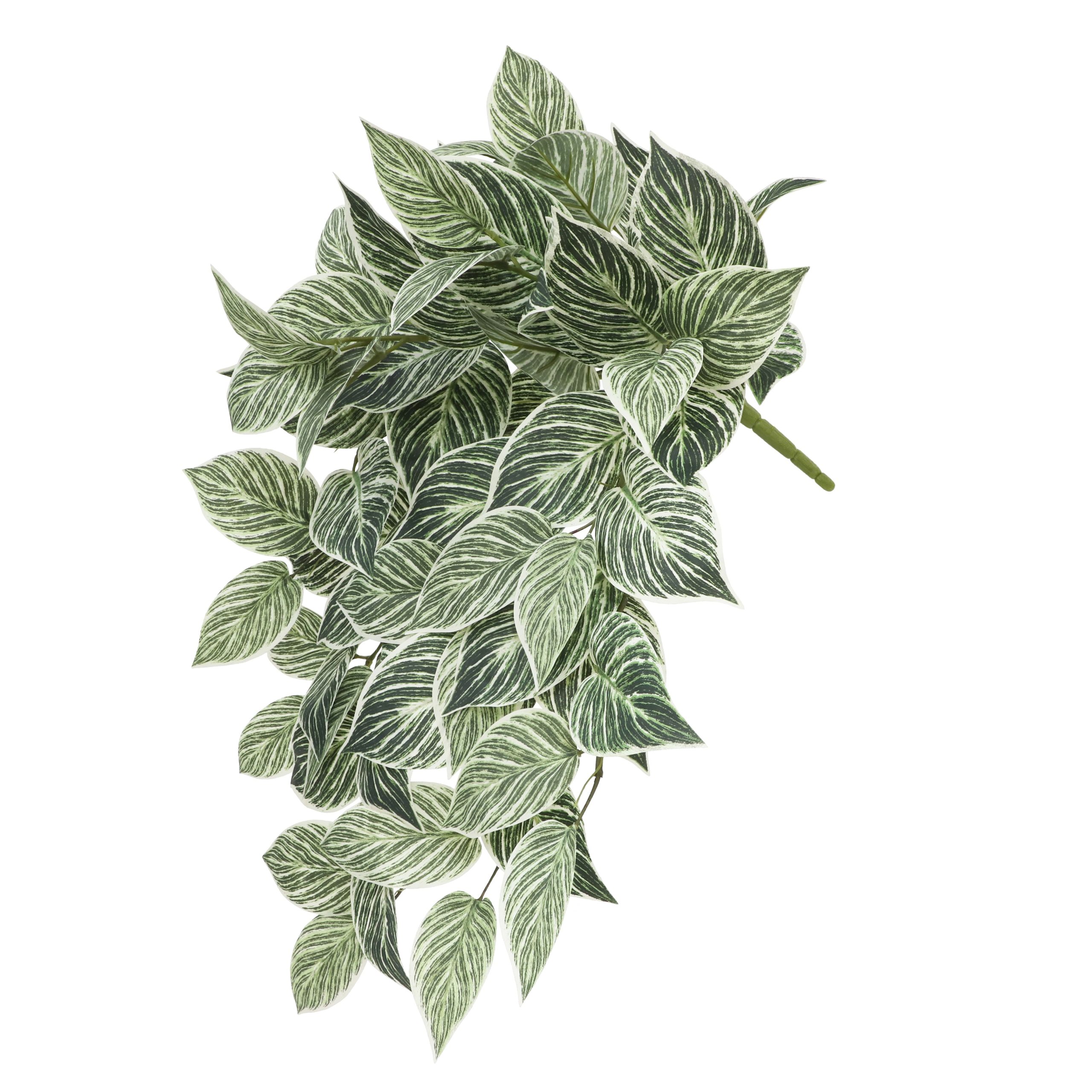 23" Philodendron Birkin Hanging Bush by Ashland® - Image 2