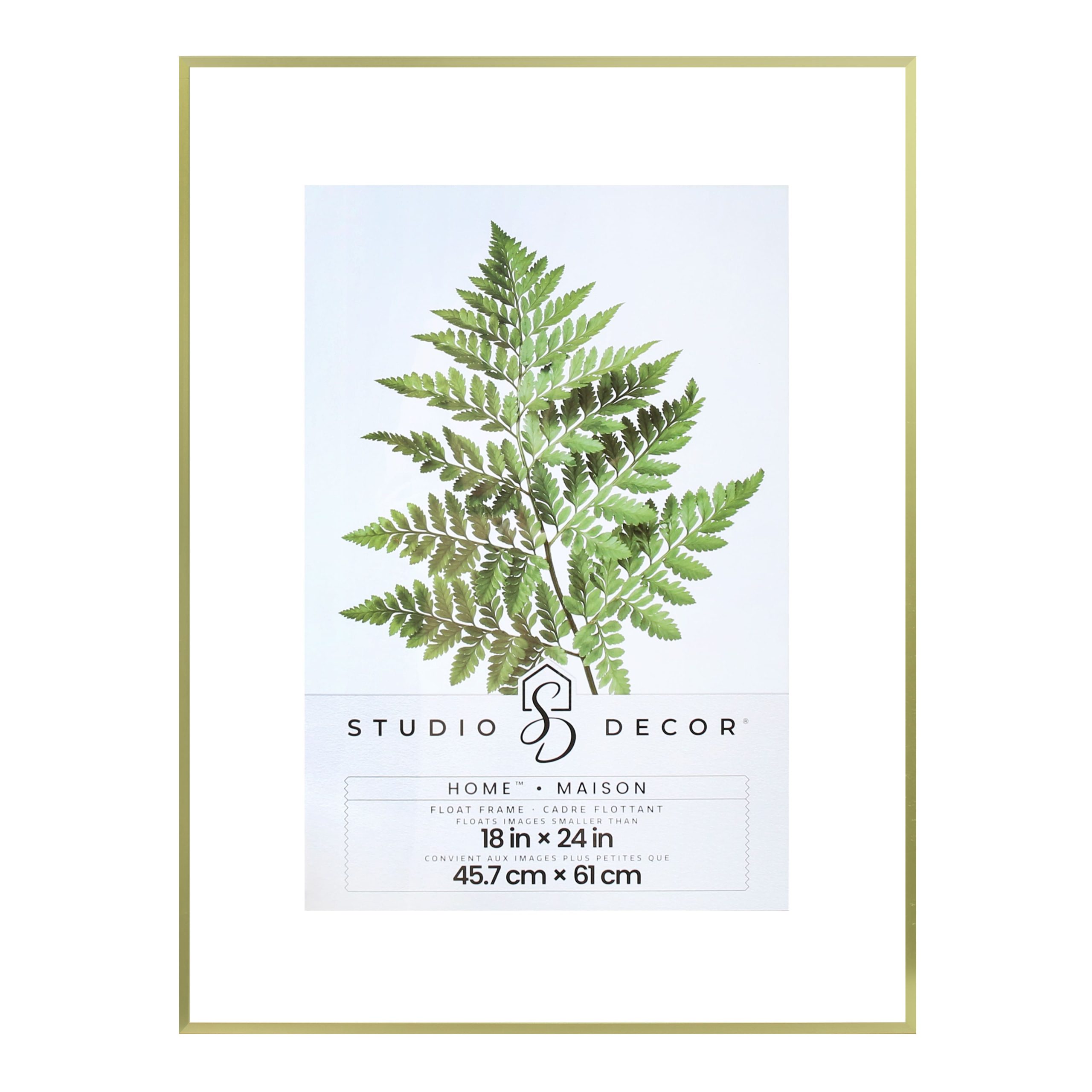 Home™ Gold Metal Float Frame by Studio Décor®