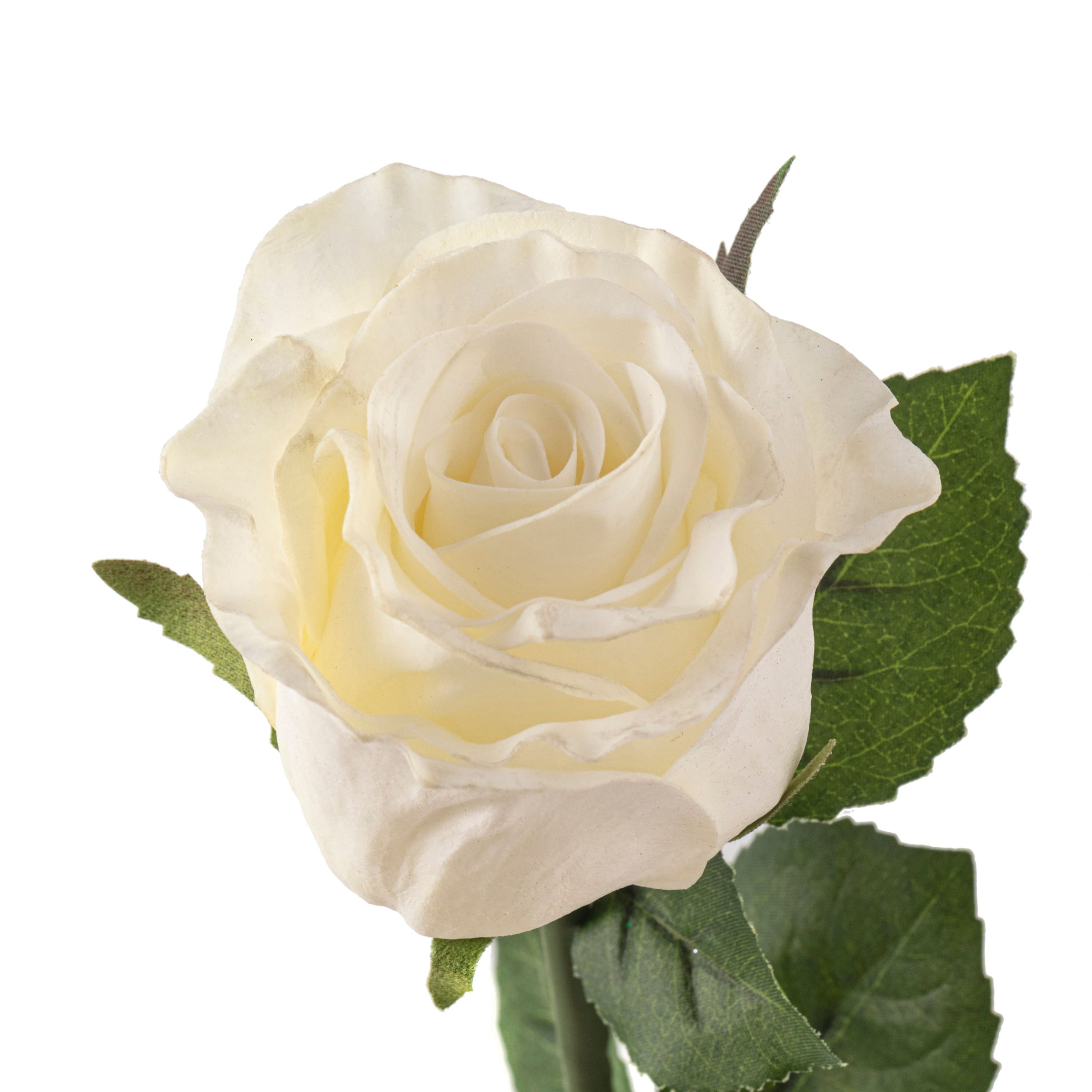 Faux Rose by Ashland® - Image 3