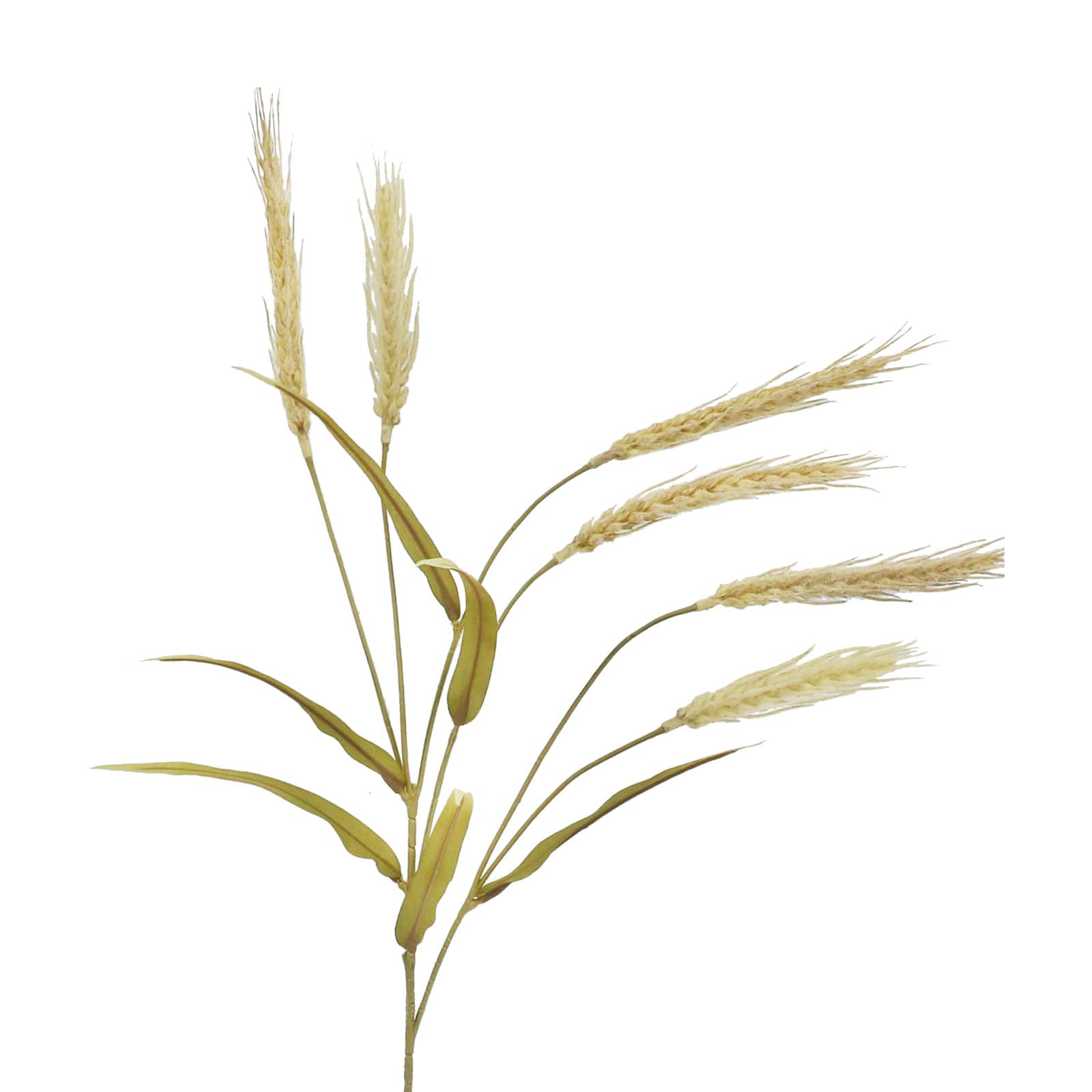 26" Toasted Wheat Stem by Ashland® - Image 2