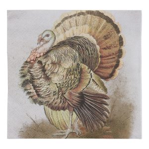 Thanksgiving Turkey Beverage Napkins, 20ct. by Celebrate It™