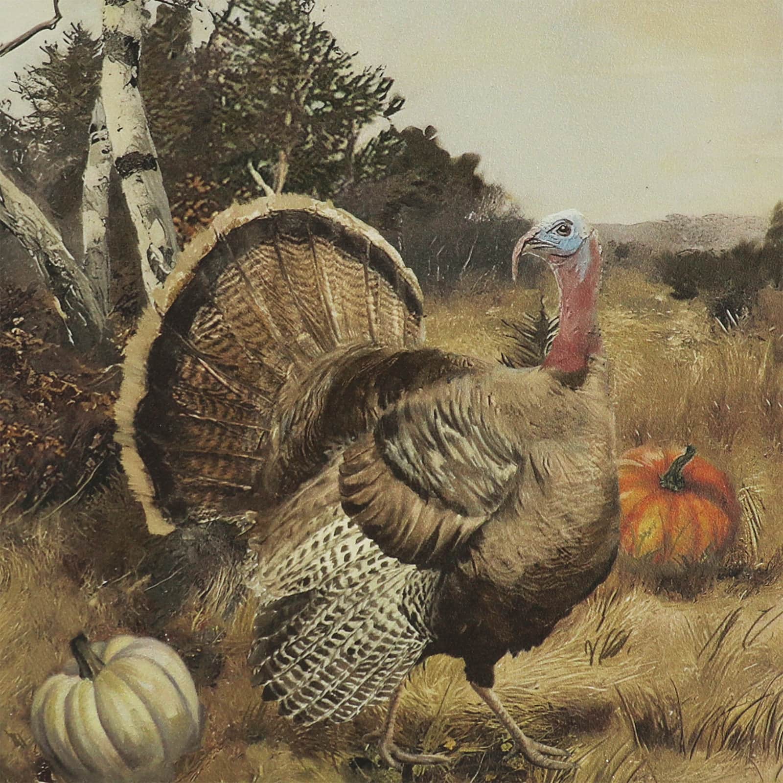 Framed Turkey Wall Décor by Ashland® - Image 2