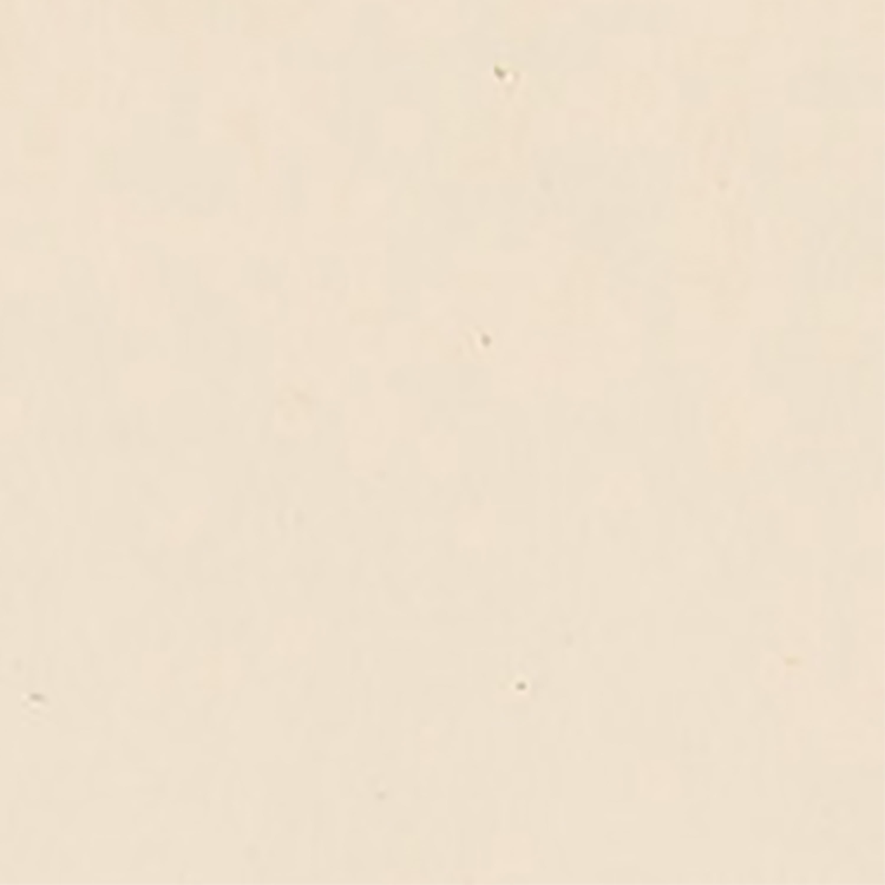 Fabric Traditions Unbleached Muslin Fabric