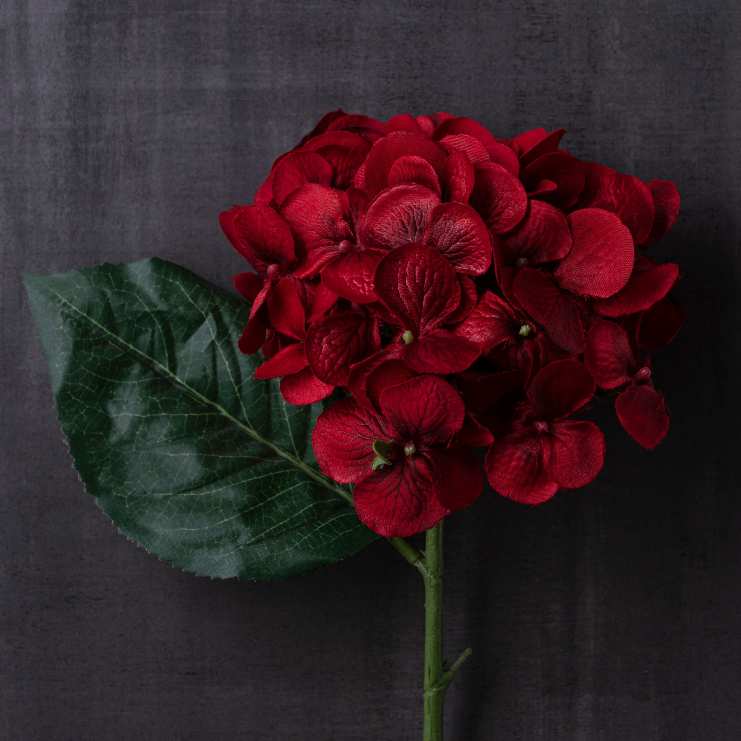 25" Hydrangea Stem by Ashland® - Image 2