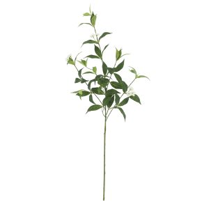 25" Balsam Leaf Stem by Ashland®