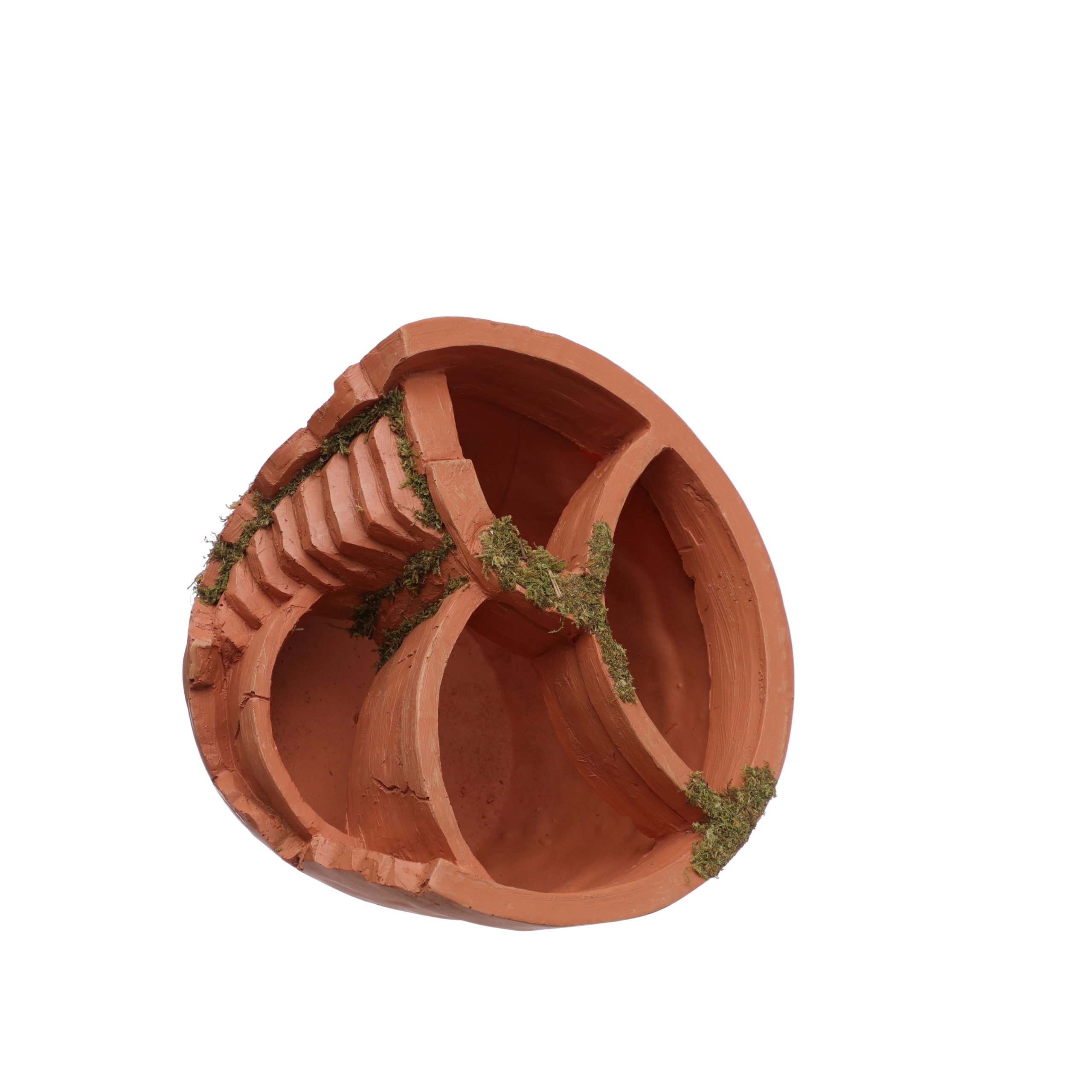 Mini Moss Container by Ashland® - Image 3