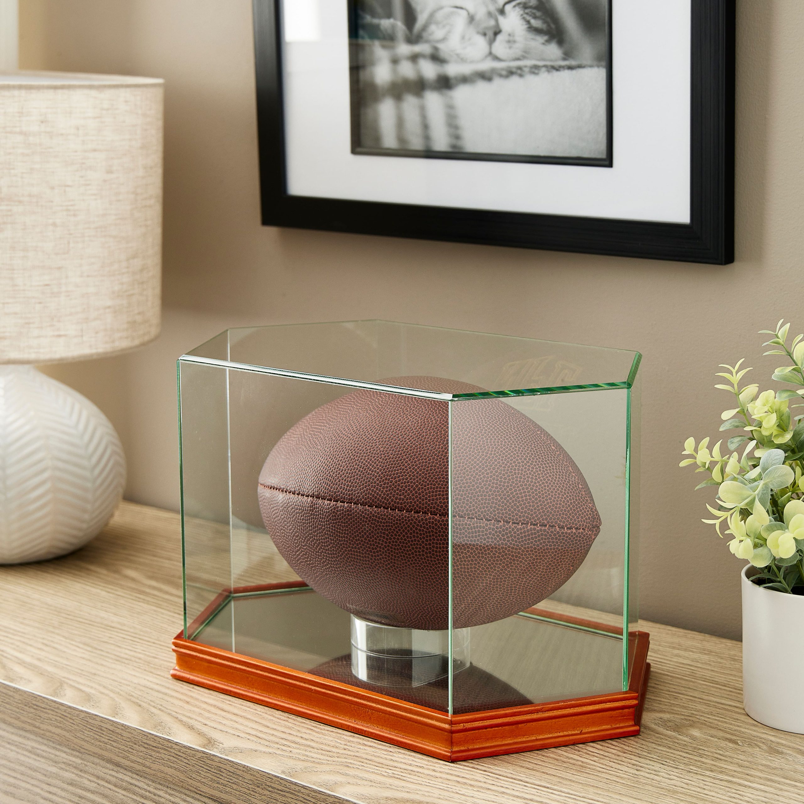 Football Display Case by Studio Décor® - Image 2