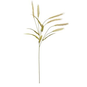 26" Toasted Wheat Stem by Ashland®