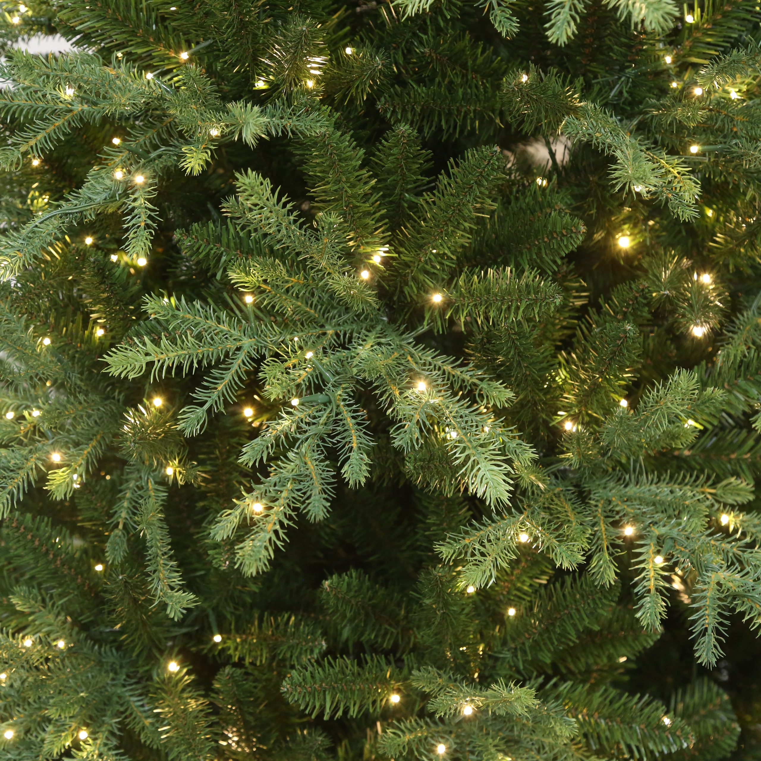 7.5ft. Pre-Lit Charlotte Spruce Realistic Artificial Christmas Tree, Color Changing Mini LED Lights by Ashland® - Image 3