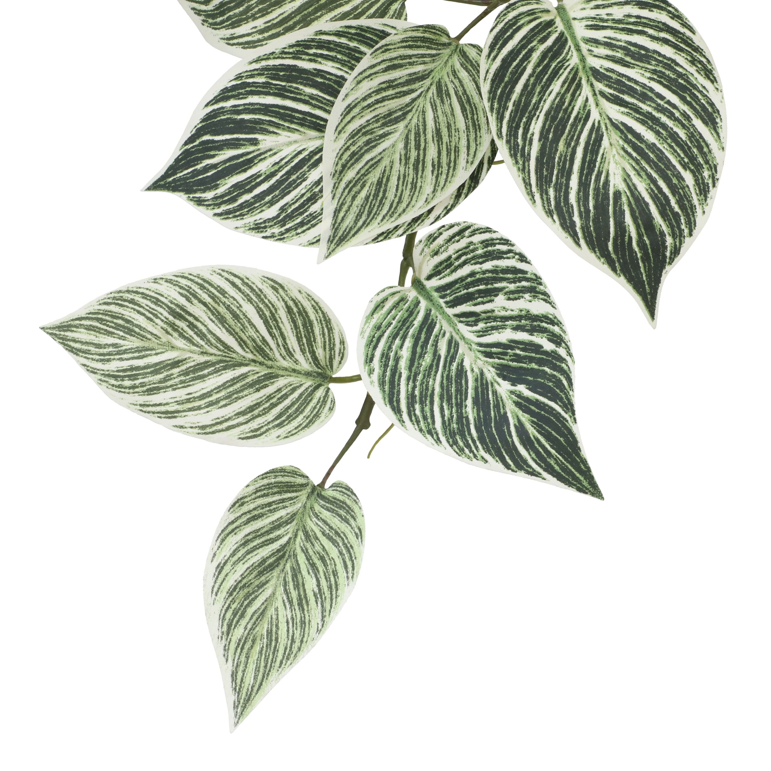 23" Philodendron Birkin Hanging Bush by Ashland® - Image 3