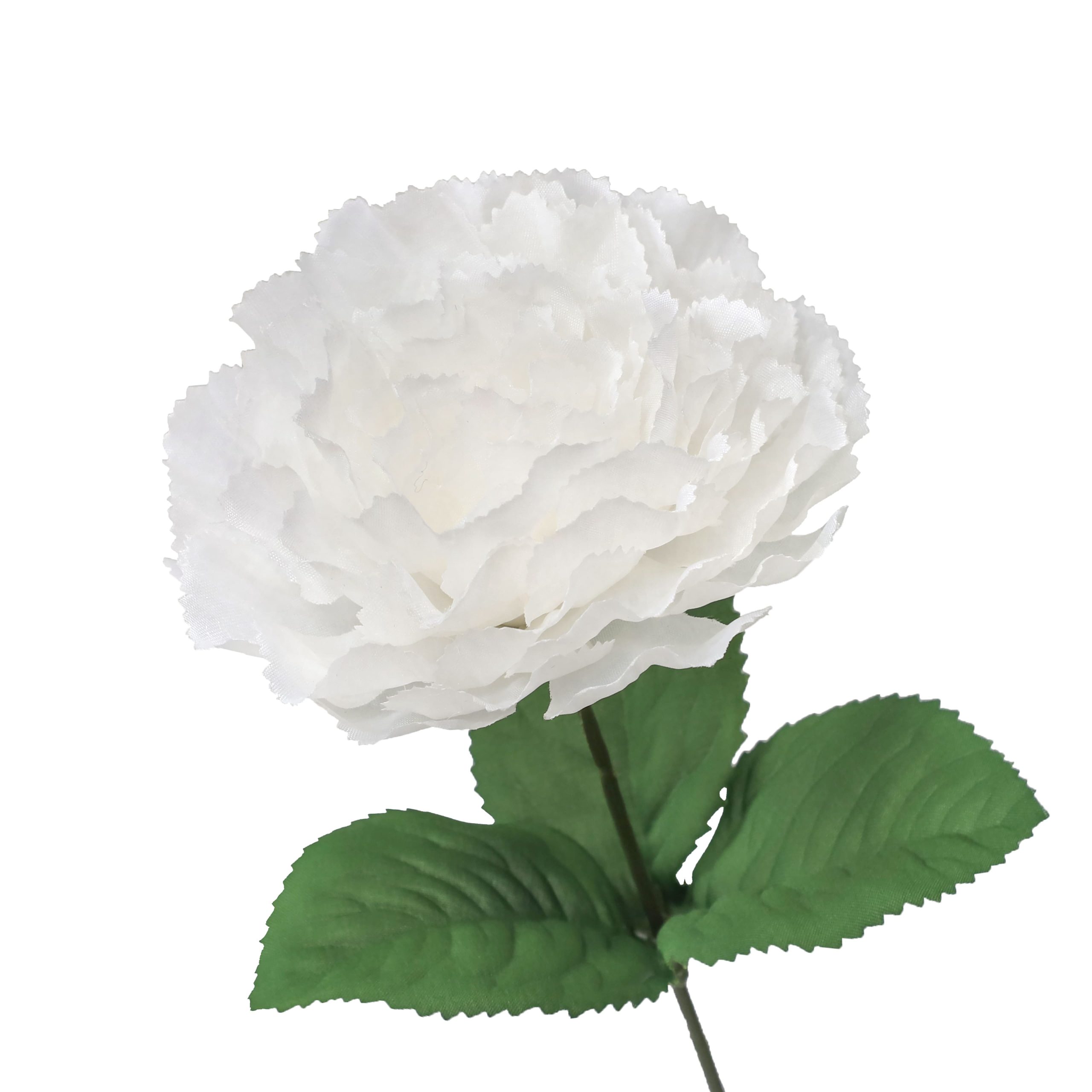 18" Cream Carnation Bush by Ashland® - Image 3