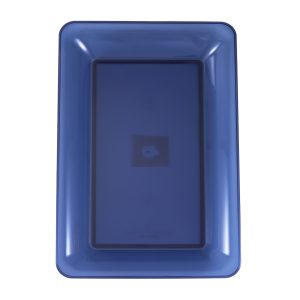 14.5" x 9.5" Plastic Tray by Celebrate It™
