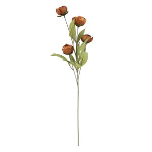 27.5" Dried Brown Peony Stem by Ashland®