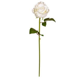 Faux Rose by Ashland®