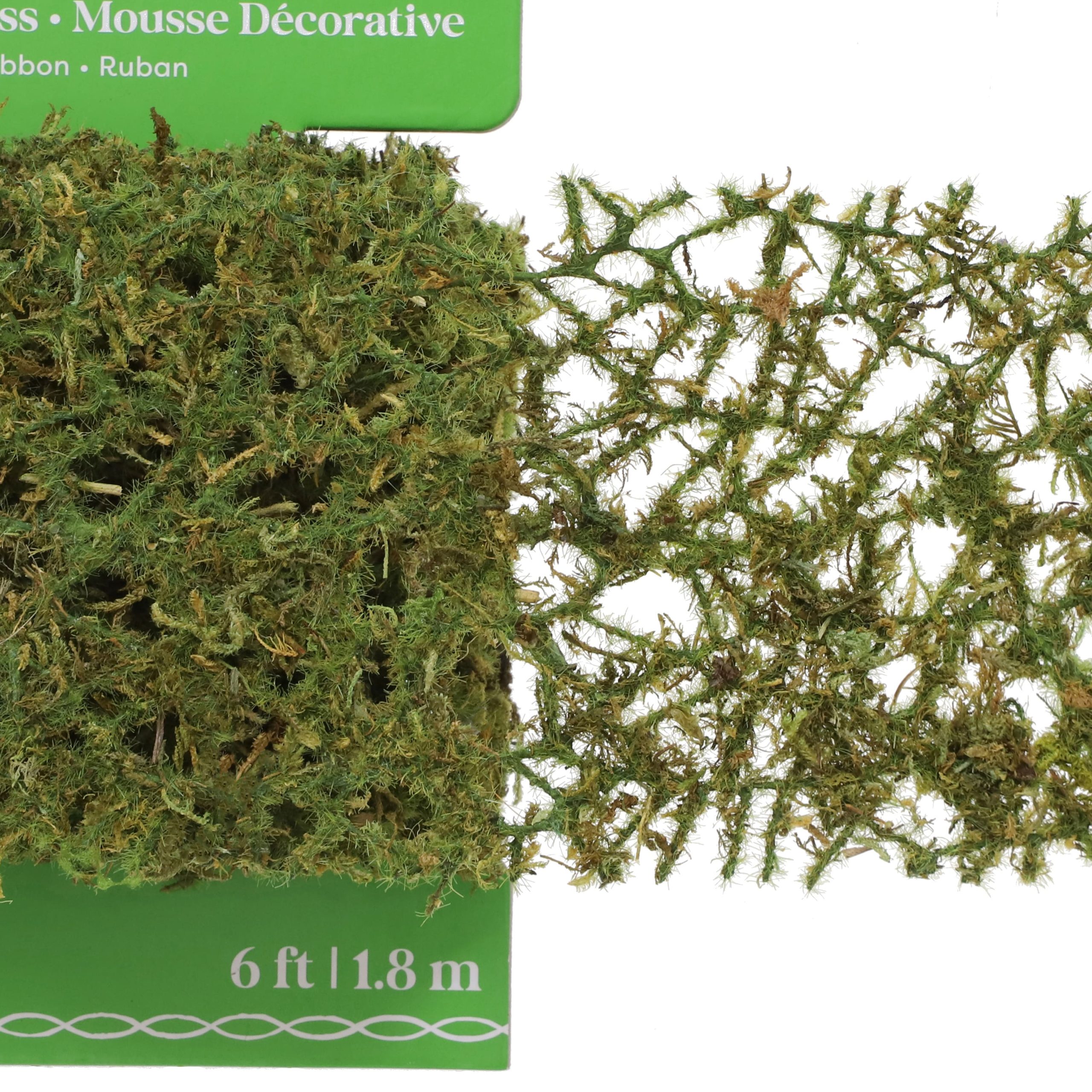 6ft. Green Decorative Moss Ribbon by Ashland® - Image 3