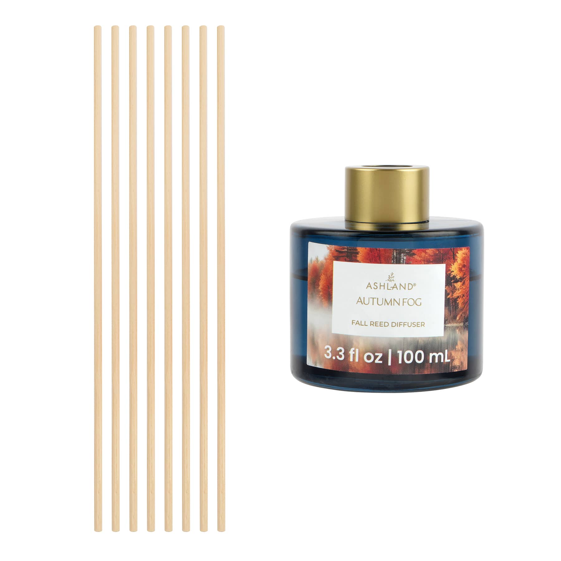 Fall Reed Diffuser by Ashland®