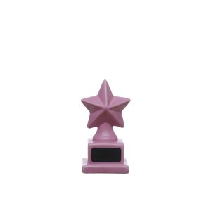 Class Rules! 4.75" Pink Star Tabletop Décor by B2C™