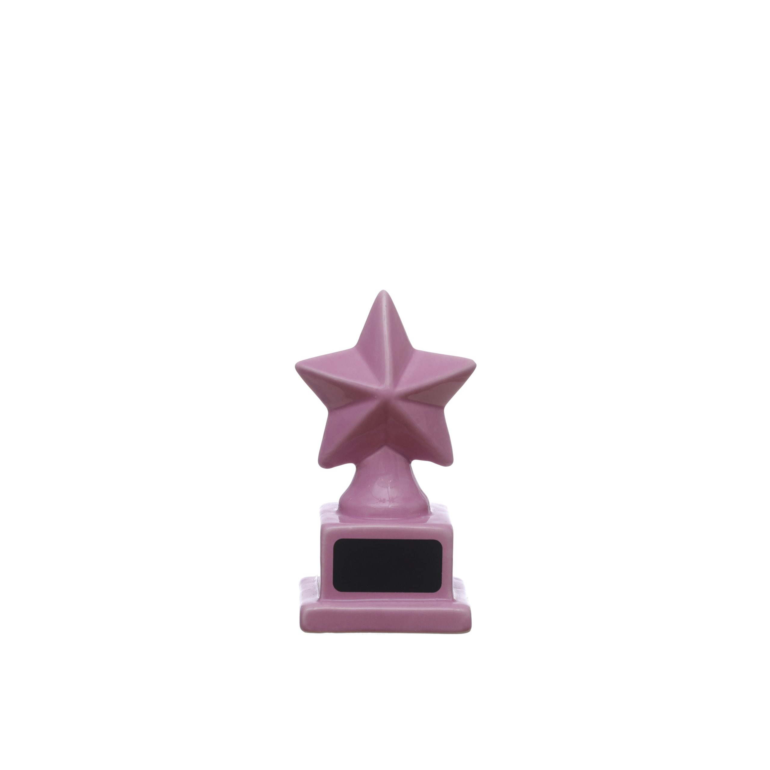 Class Rules! 4.75" Pink Star Tabletop Décor by B2C™