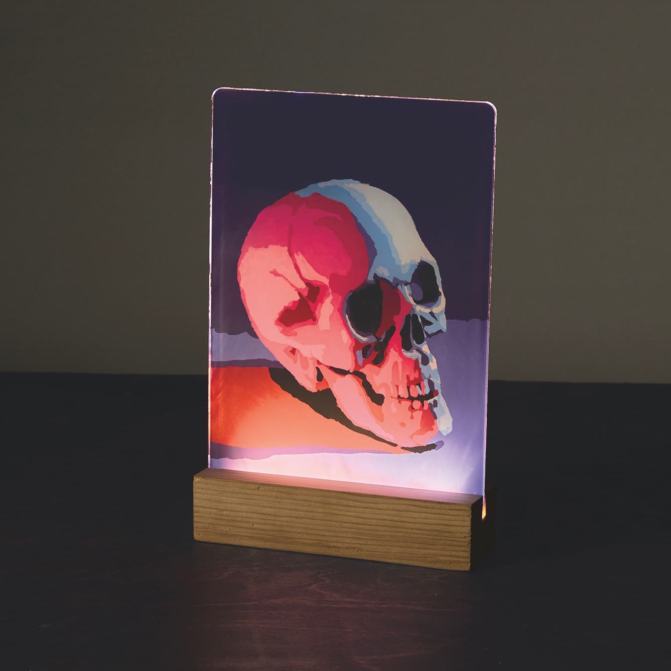 Light Up Skull Paint-by-Number Acrylic Surface Kit by Artist's Loft®