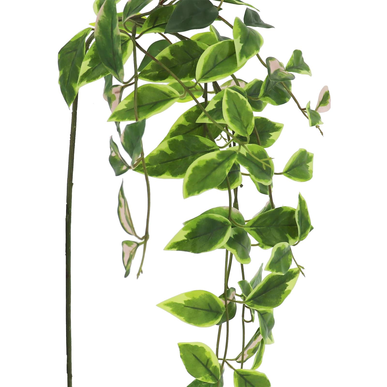 22" Hanging Hoya Leaf Stem by Ashland® - Image 2