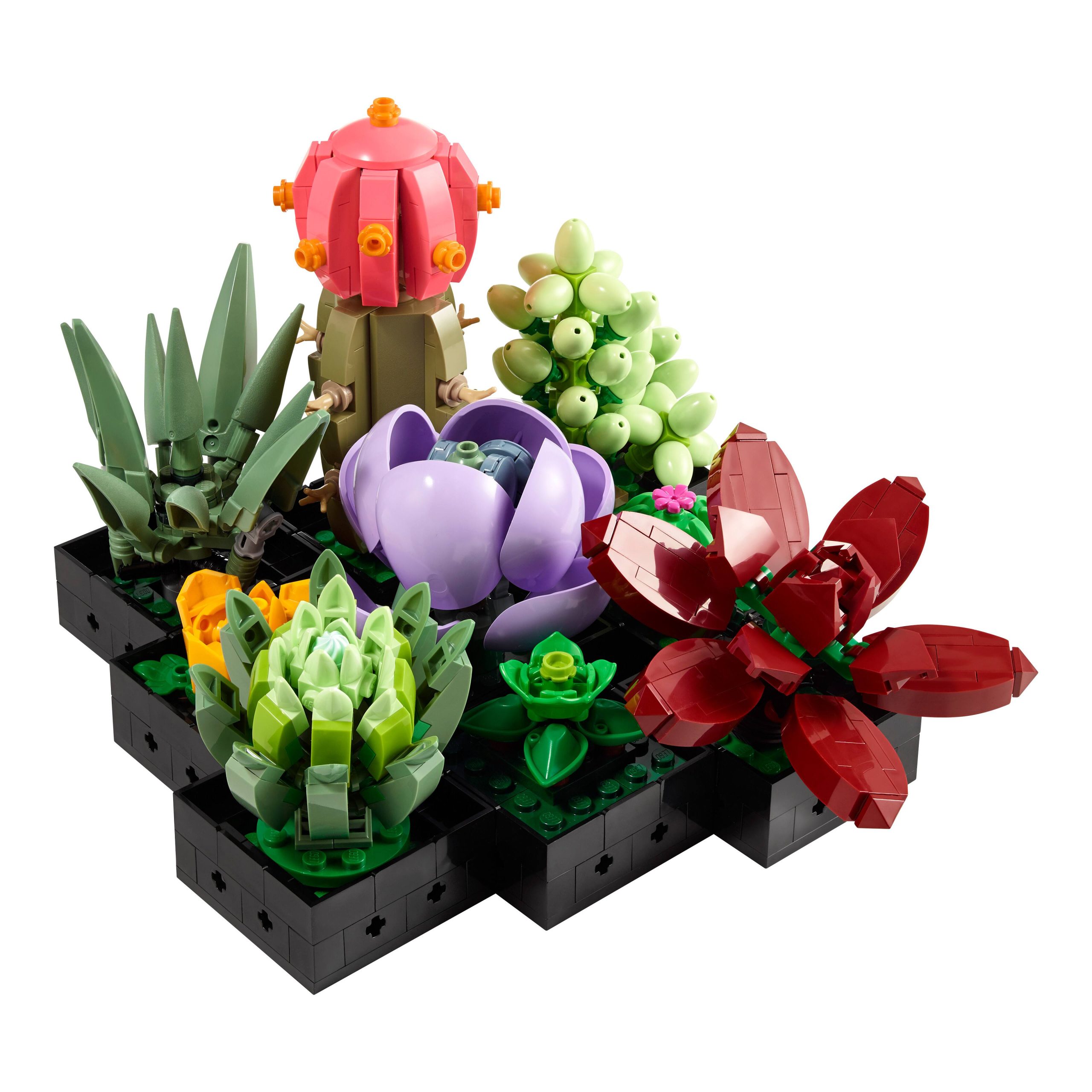 LEGO® Botanicals™ Succulents - Image 2
