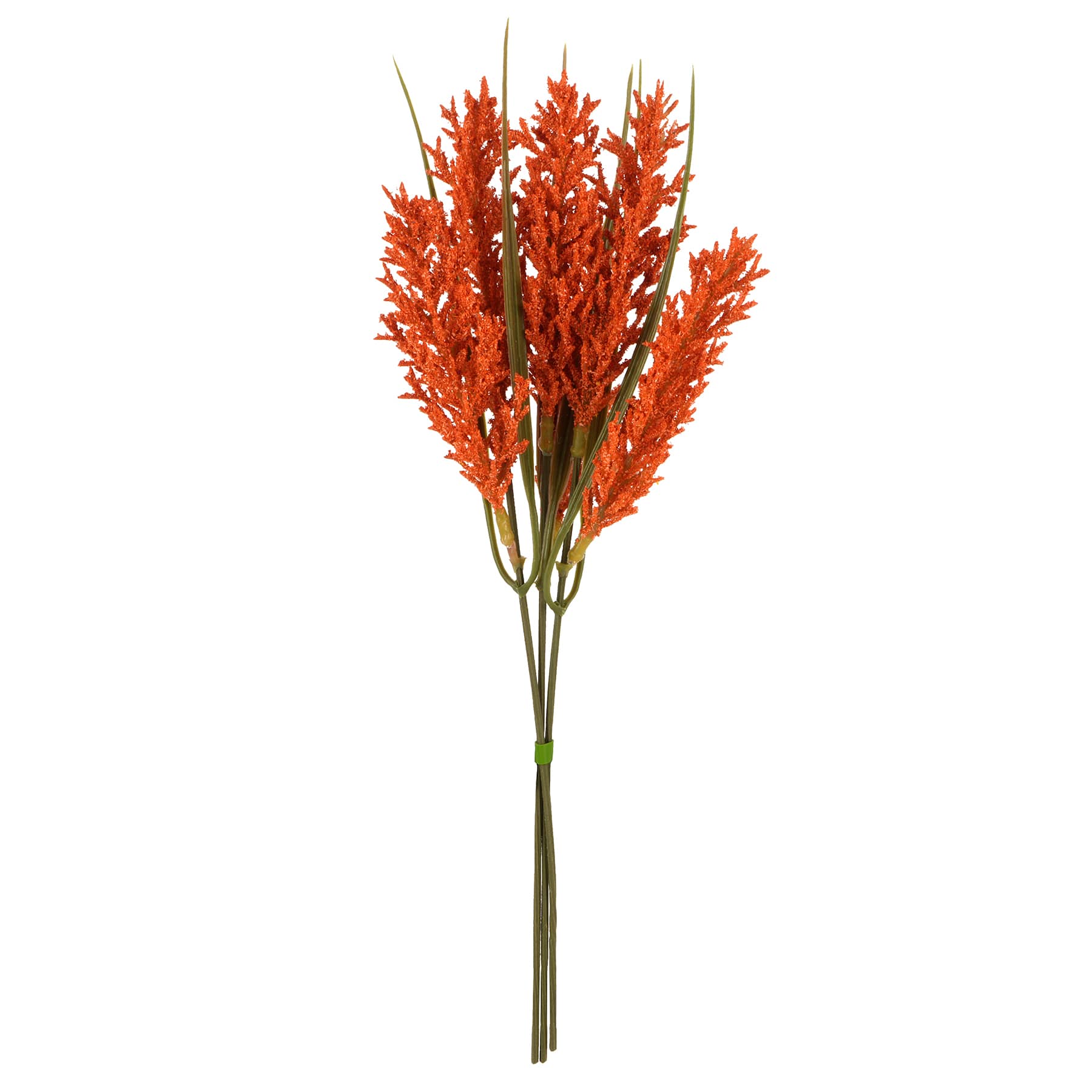 12" Orange Foxtail Mini Bundle by Ashland®